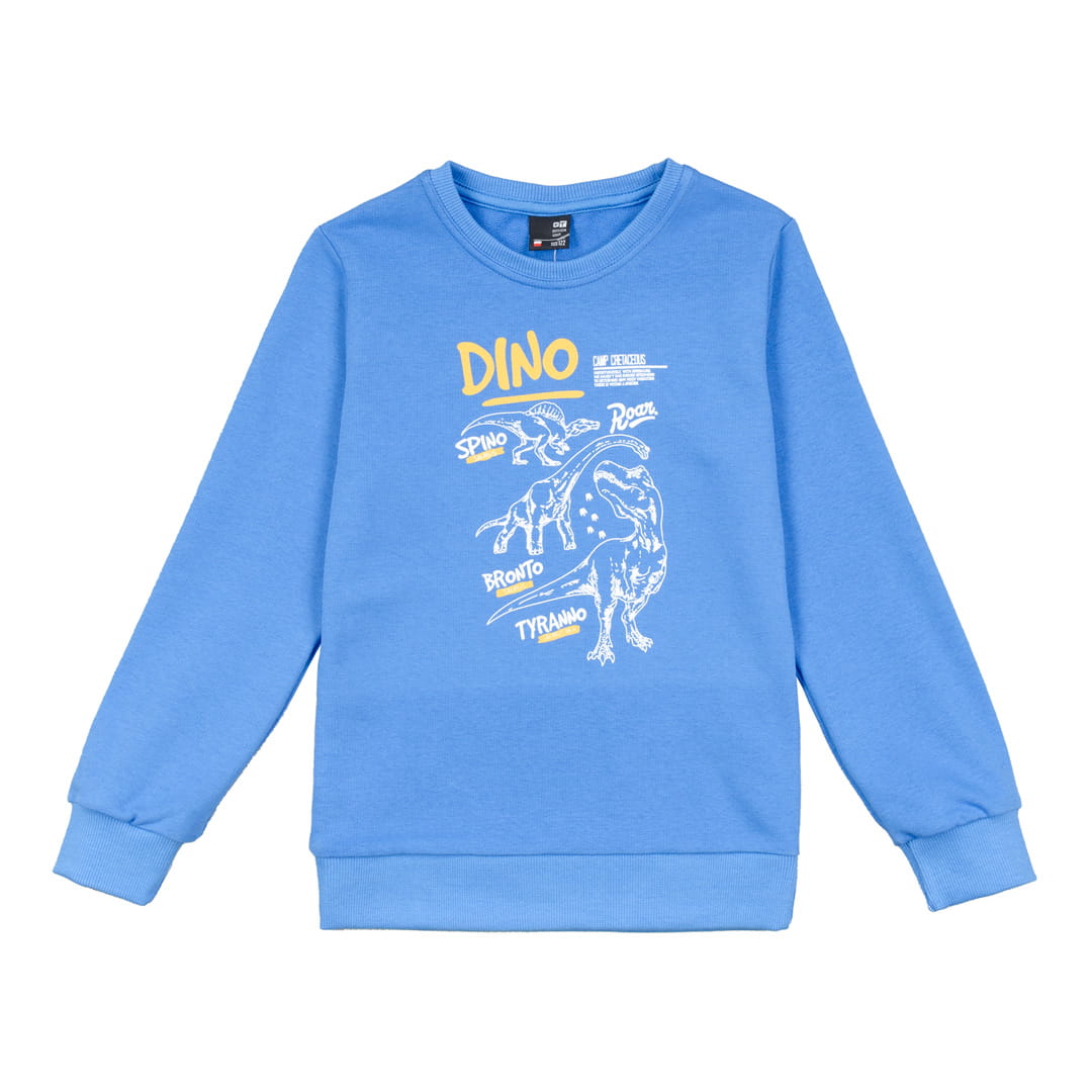 Ubrania dla dzieci / Chłopcy / Bluzy / Niebieska bluza